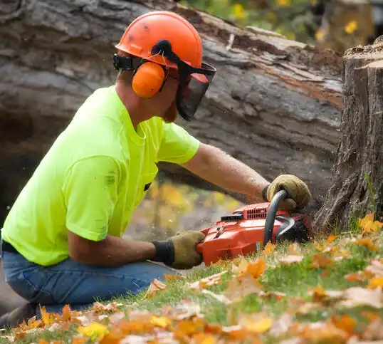 tree services Alamance